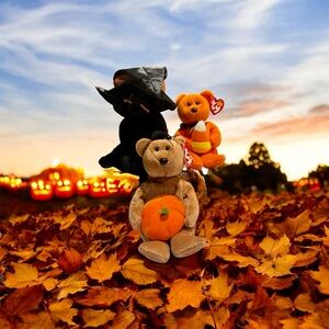 TY Halloween Beanie Babies and Plushie trio 🎃